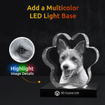 3D Crystal Pet Paw
