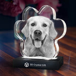 3D Crystal Pet Paw