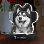3D Crystal Pet Paw