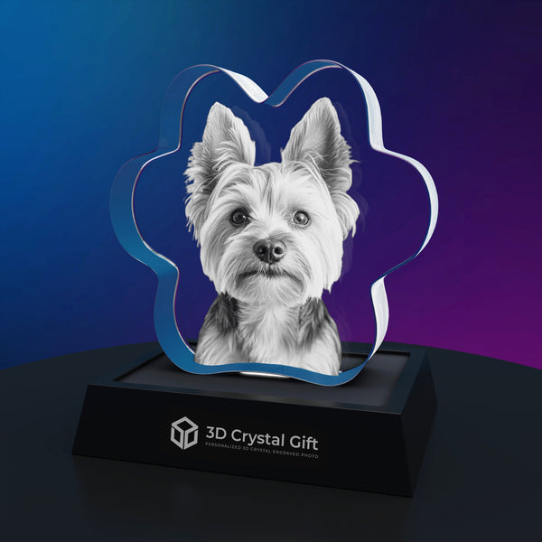 3D Crystal Photo Pet Paw