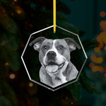 Crystal Christmas Ornament with a dog's face