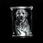 3D Crystal Photo Portrait 3D effect