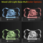 3D Crystal Dog Bone