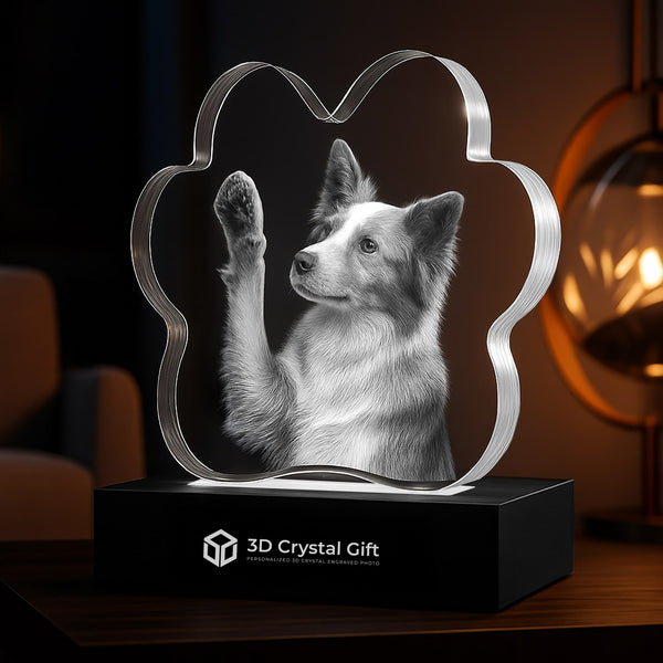 3D Crystal Pet Paw