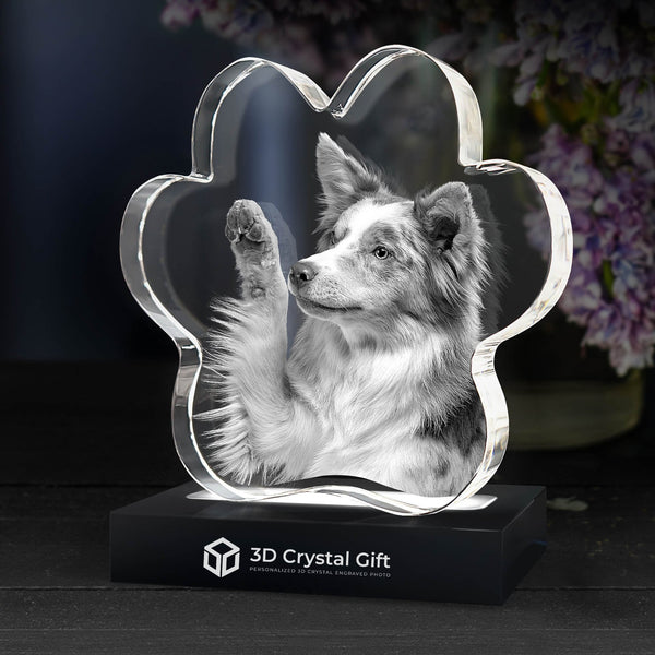 3D Crystal Pet Paw