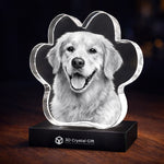 3D Crystal Pet Paw