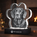 3D Crystal Pet Paw