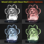 3D Crystal Pet Paw