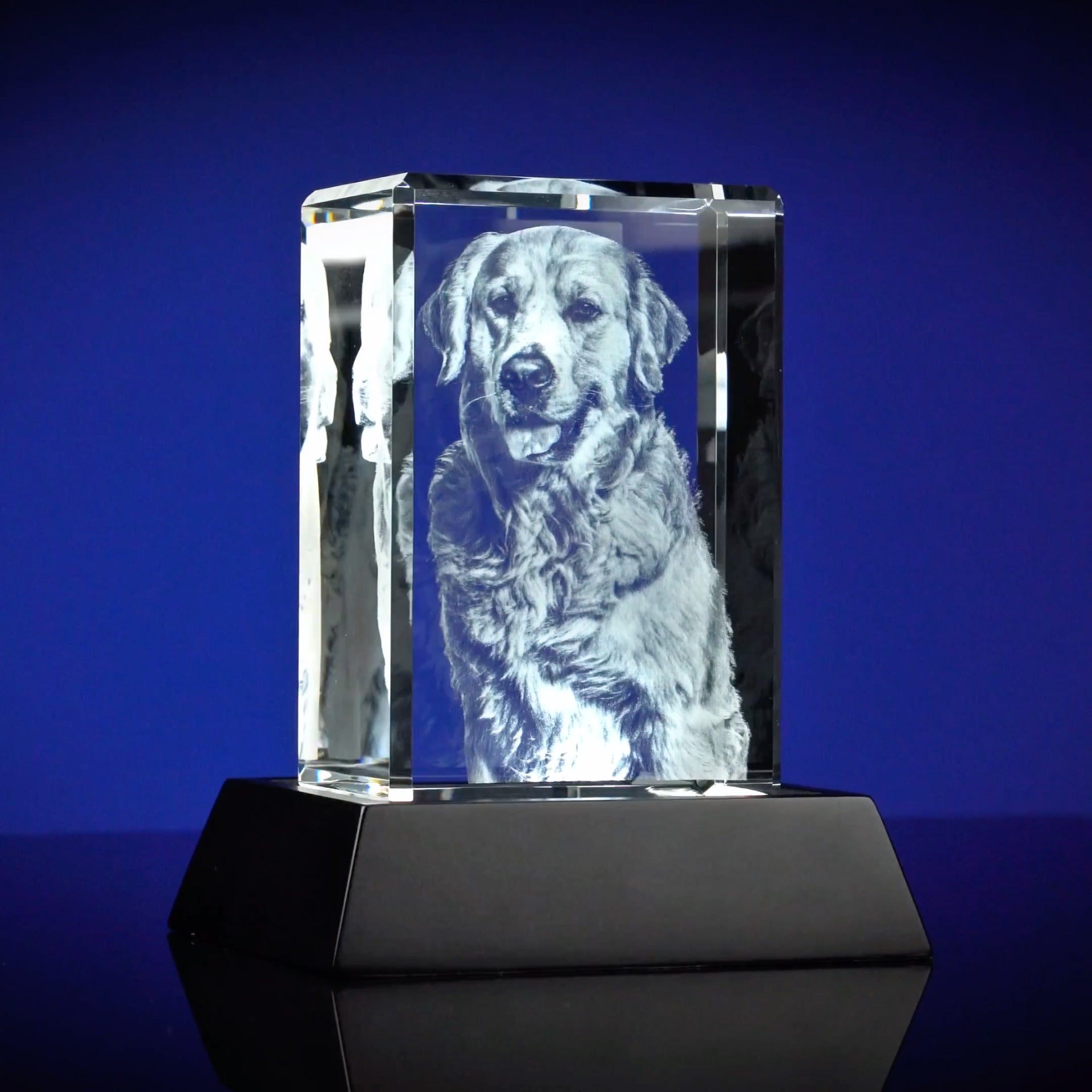 3D Crystal Photo Portrait | Customized Dog Memorial Gift – 3D Crystal Gift