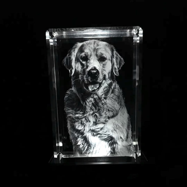 Personalized 3D Crystal Photo - Custom Engraved Picture Gift - Pet ...