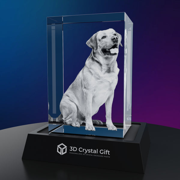 3D Crystal Portrait