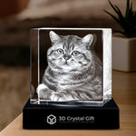 3D Crystal Photo Square Pet Lovers Gift